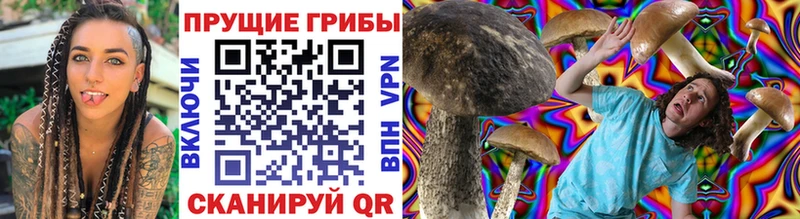 Псилоцибиновые грибы мицелий  Купить закладки  Берёзовка 